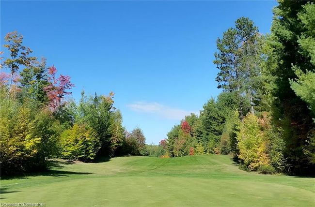 2937 Old Barrys Bay Rd, House other with 0 bedrooms, 0 bathrooms and 22 parking in Madawaska Valley ON | Image 23