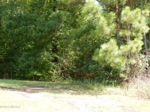 Parcel 1 Whitaker Rd, Roberta, GA, 31078 | Card Image