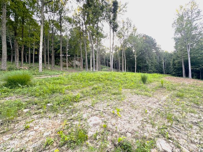 1 Cave Creek Rd, Home with 0 bedrooms, 0 bathrooms and null parking in Falls Of Rough KY | Image 11