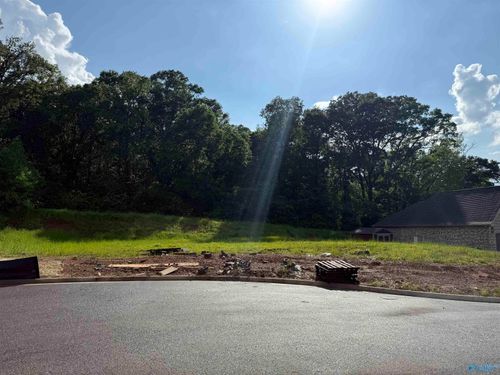 Lot 5 Tumbleweed Dr, Guntersville, AL, 35976-0569 | Card Image