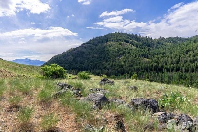 7.33 acre has a great landscape feature 'Rock Garden' looking East SE. | Image 17