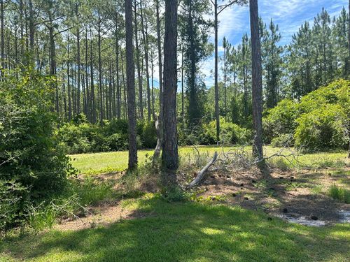 102 Royal Tern Way, Carrabelle, FL, 32322 | Card Image