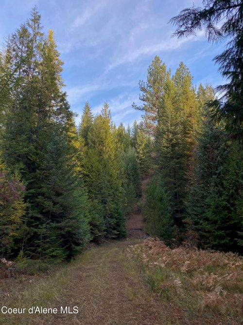 Lots 2 & 3 S 2nd St, St. Maries, ID, 83861 | Card Image