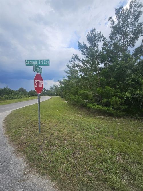 0 Fisher Rd, OCKLAWAHA, FL, 32179 | Card Image
