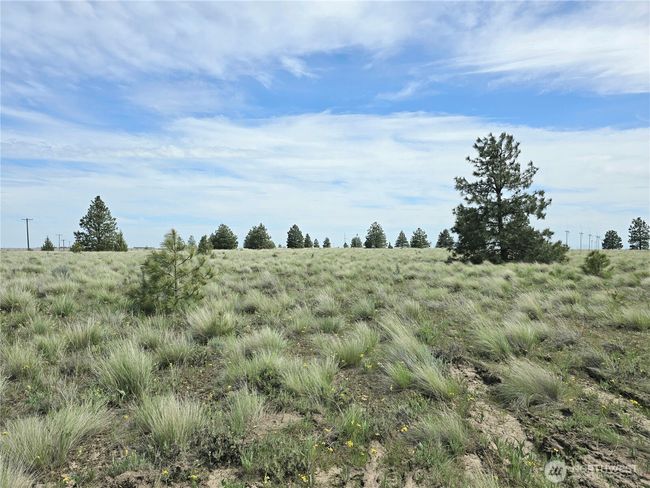226 Duree Rd, Home with 0 bedrooms, 0 bathrooms and null parking in Bickleton WA | Image 7