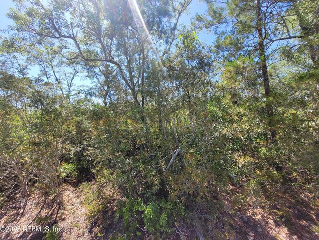 2155 State Road 40, Home with 0 bedrooms, 0 bathrooms and null parking in De Leon Springs FL | Image 59