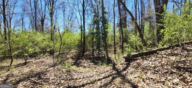 5757 Jeffersonville Rd, Home with 0 bedrooms, 0 bathrooms and null parking in Dry Branch GA | Image 15