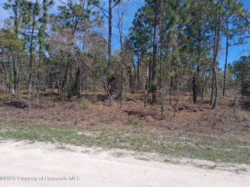 0 Green Jay Rd, BROOKSVILLE, FL, 34614 | Card Image