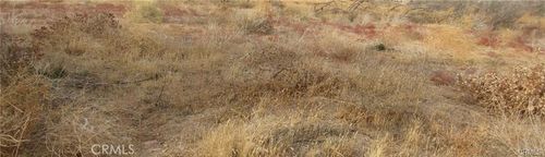 0 043-330-01-07-5 Twisselman Road, Lost Hills, CA, 93249 | Card Image