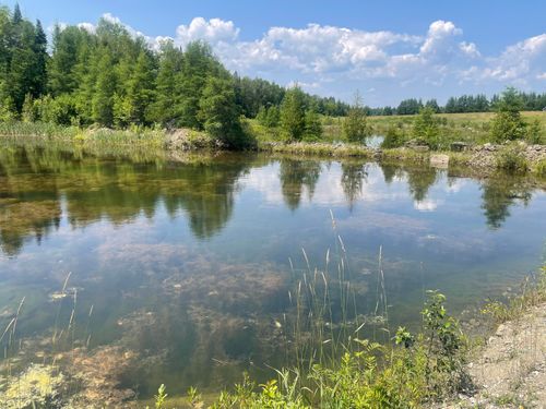 Lot 42 Lombard Rd, Caribou, ME, 04736-4153 | Card Image