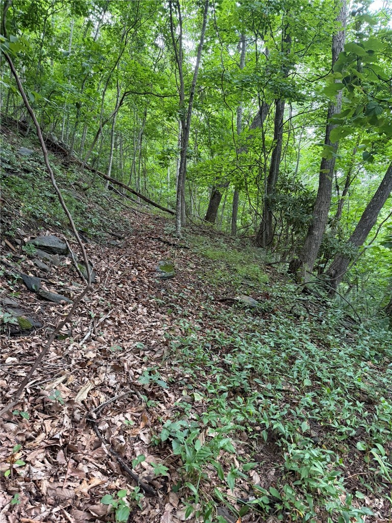 Land in Jefferson