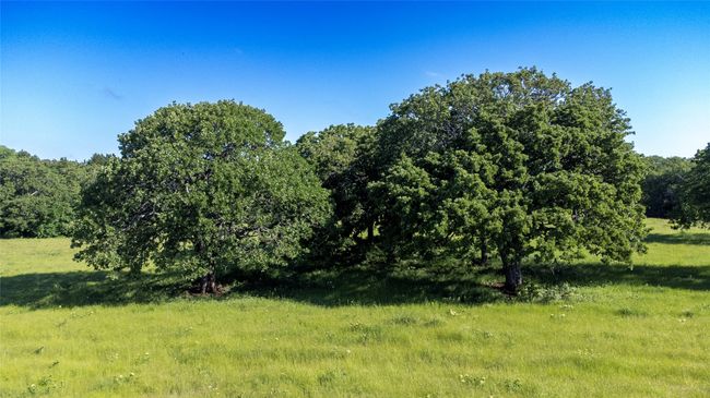 1761 Brooks Ln, Home with 0 bedrooms, 0 bathrooms and null parking in Sadler TX | Image 23