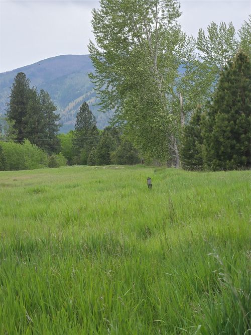 5616 Klements Ln, Florence, MT, 59833-6610 | Card Image