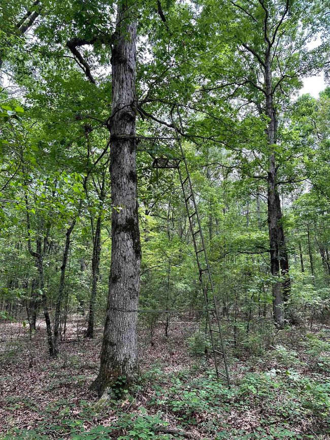 000 Oak Dale Rd, Home with 0 bedrooms, 0 bathrooms and null parking in Lonoke AR | Image 29