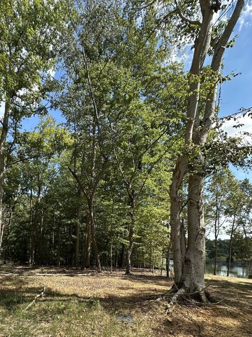 33 Heron Point, Tullahoma, TN, 37388 | Card Image