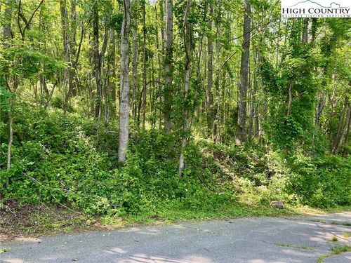 TBD Valley Stran Dr, Boone, NC, 28607 | Card Image