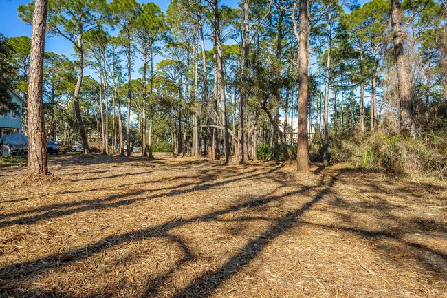 160 Harbor Cir, Home with 0 bedrooms, 0 bathrooms and null parking in ALLIGATOR POINT FL | Image 10