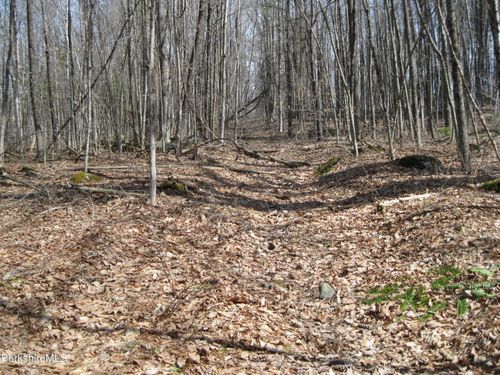 0 Mohawk Lake Rd, Stockbridge, MA, 01262 | Card Image