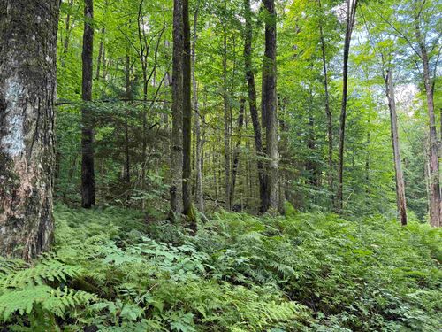 176 Button Hill Rd, Shrewsbury, VT, 05738 | Card Image