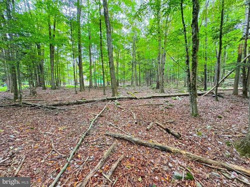 Lot 57-58 Orion Way, Lake Ariel, PA, 18436 | Card Image