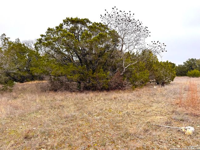 0 Atlantis Ave, Home with 0 bedrooms, 0 bathrooms and null parking in Spring Branch TX | Image 9