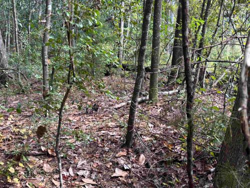 xxxx Sweetwater Lane, Tallahassee, FL, 32311 | Card Image