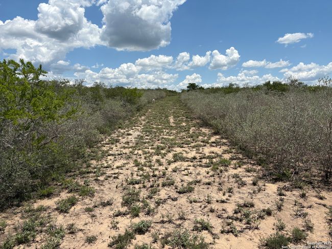 TR102 Frontier A Rd, Home with 0 bedrooms, 0 bathrooms and null parking in Freer TX | Image 13