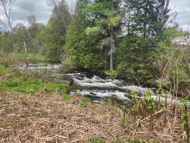 16 Northridge Rd, House other with 4 bedrooms, 1 bathrooms and null parking in West Burke VT | Image 41