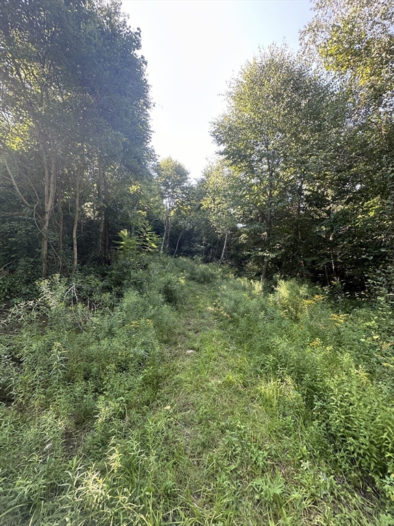 Land in Warren 5