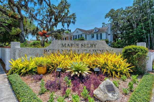 APT-310 - 835 S Osprey Ave, Condo with 2 bedrooms, 2 bathrooms and null parking in SARASOTA FL | Image 85