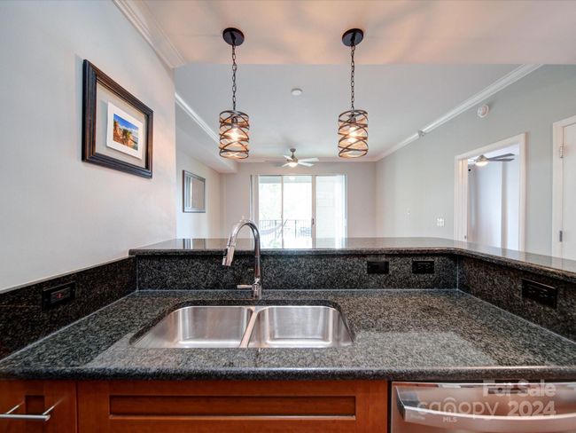 APT-219 - 300 W 5 Th St, Condo with 1 bedrooms, 1 bathrooms and null parking in Charlotte NC | Image 6