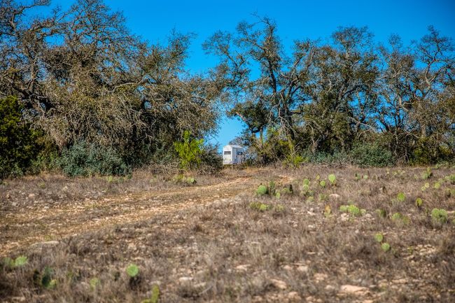 View of local wilderness | Image 14