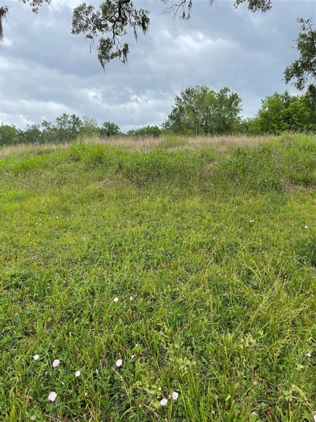 526 Pony Trl, Home with 0 bedrooms, 0 bathrooms and null parking in Angleton TX | Image 9