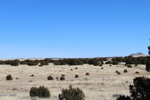 13 County Road 8006, Concho, AZ, 85924 | Card Image