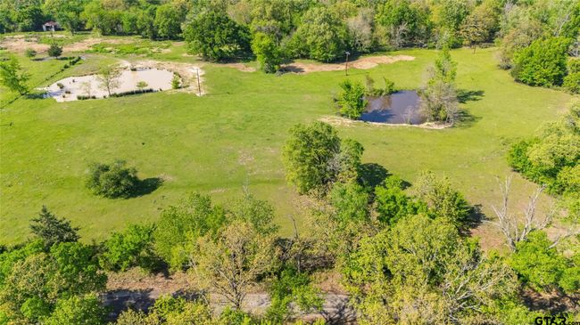 72 Acres N Farm Road 900, Home with 0 bedrooms, 0 bathrooms and null parking in Saltillo TX | Image 15