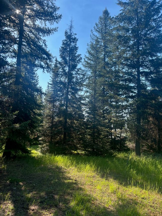 72 Keystone Flats Rd, House other with 3 bedrooms, 2 bathrooms and null parking in Libby MT | Image 17