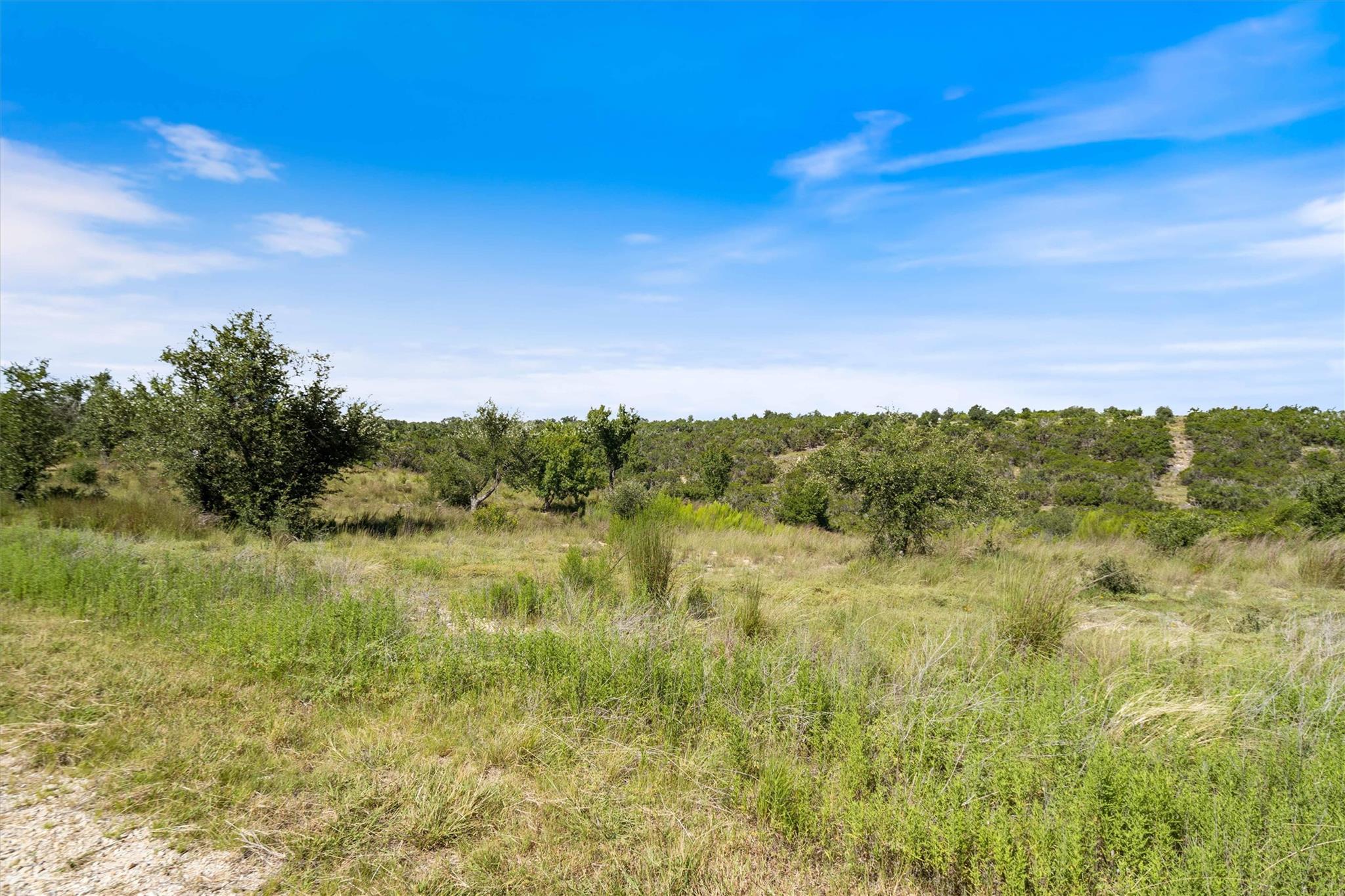 Land in Johnson City 3
