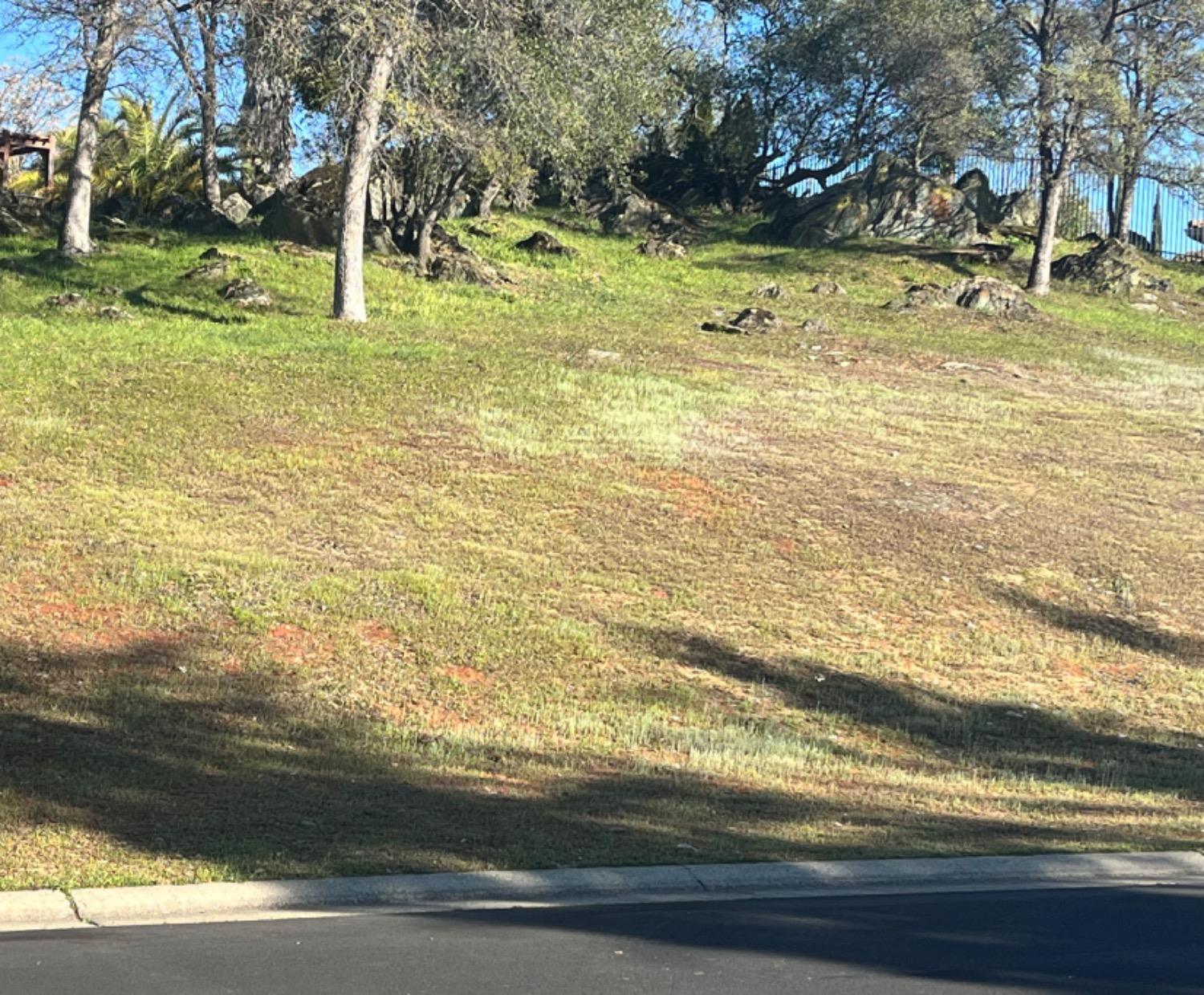 Land in El Dorado Hills 3
