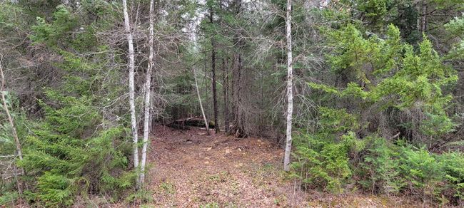 Lot 12 Mirror Lake Estates Dr, Home with 0 bedrooms, 0 bathrooms and null parking in Whitefield NH | Image 25