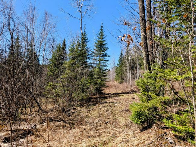 N12912 State Highway 13, House other with 2 bedrooms, 1 bathrooms and null parking in Fifield WI | Image 44