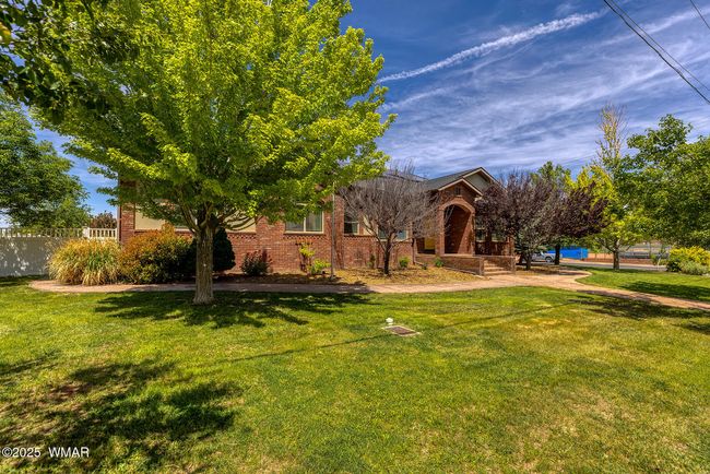 Lushious Landscaping | Image 6