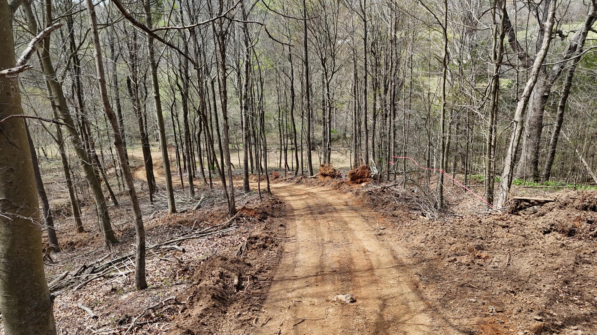 Land in Decatur 3