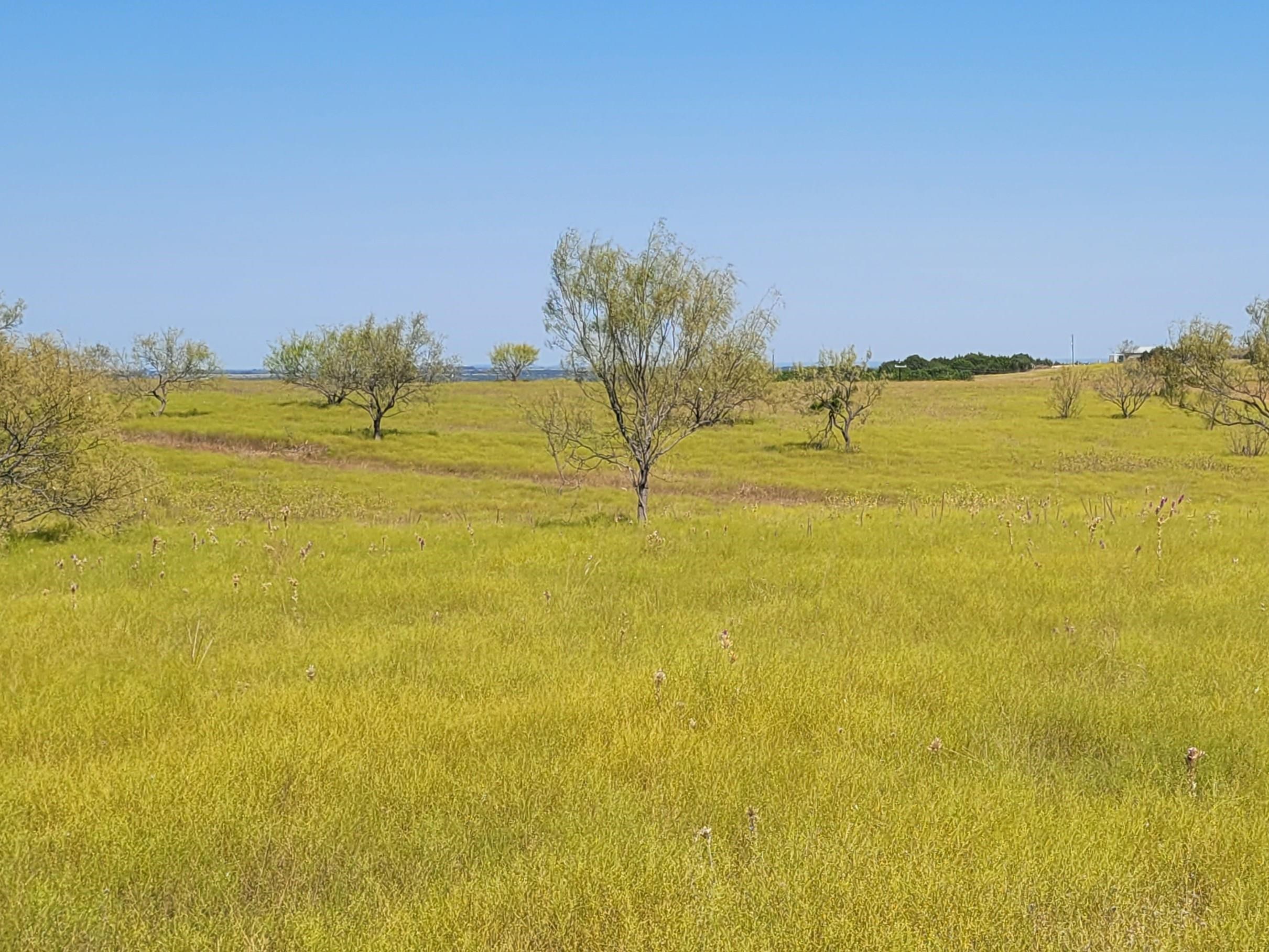 Farm in Burnet 3