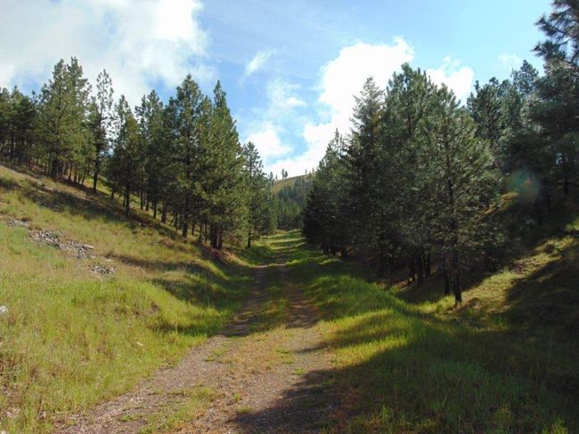 27235 Lazy Springs Rd, Home with 0 bedrooms, 0 bathrooms and null parking in Clinton MT | Image 46