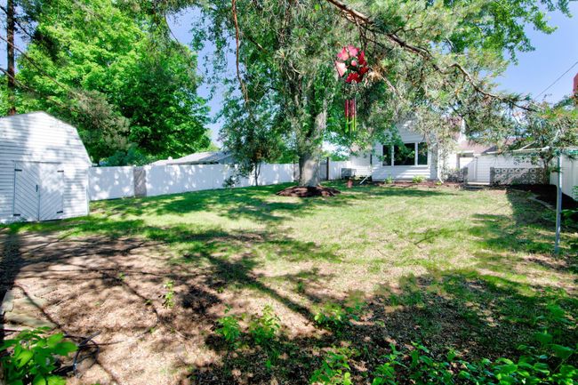 New Privacy Fence | Image 14