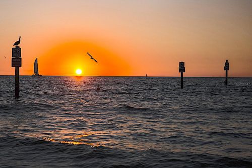 604-880 Mandalay Ave, CLEARWATER, FL, 33767-1242 | Card Image