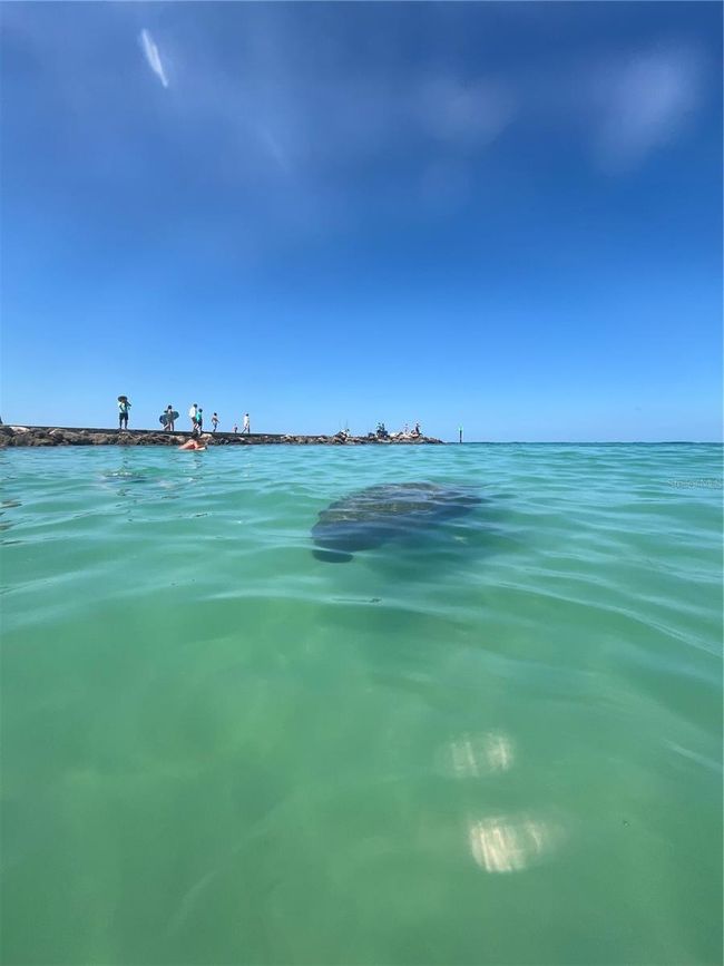 APT-10 - 109 Bayshore Rd, Condo with 2 bedrooms, 2 bathrooms and null parking in Nokomis FL | Image 77