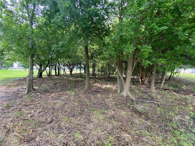 333 Hidden Pass, Home with 0 bedrooms, 0 bathrooms and null parking in Royse City TX | Image 10