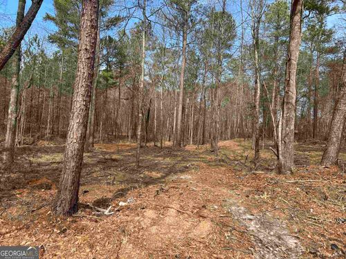 LOT 6 Old Highway 138, Loganville, GA, 30052 | Card Image