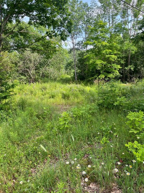 0 Pt Lt 14 Con 3 N/A, Rideau Lakes, ON, K0G1X0 | Card Image